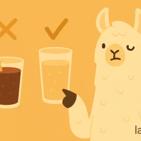 Лама сравнява две напитки – газирана със захар и вода или чай, символ на връзката между напитките и инсулиновата резистентност.